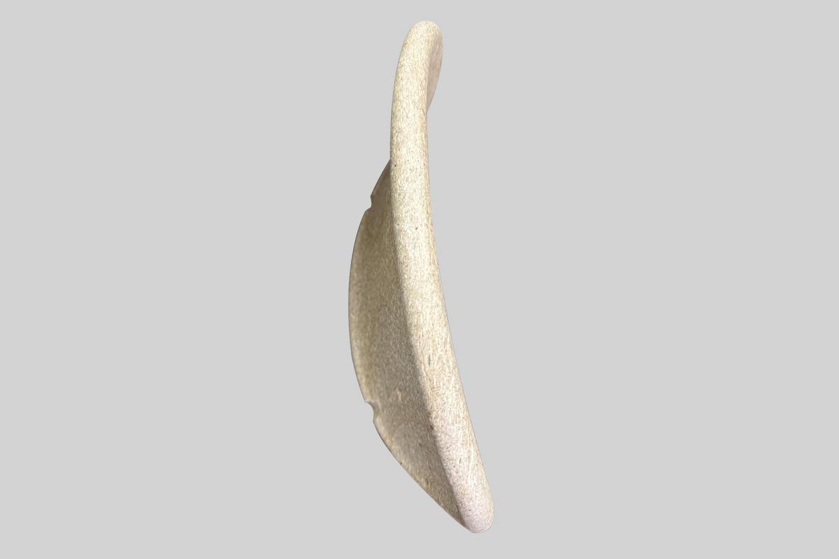 Curved-1-1200×800